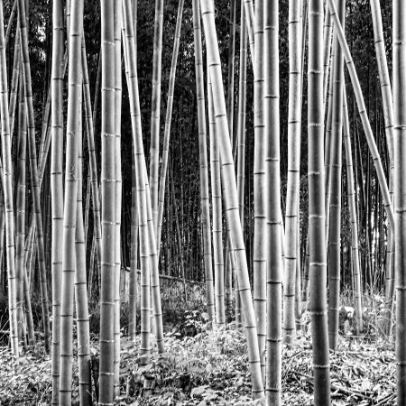 Natalie Wester The Hot Goddess