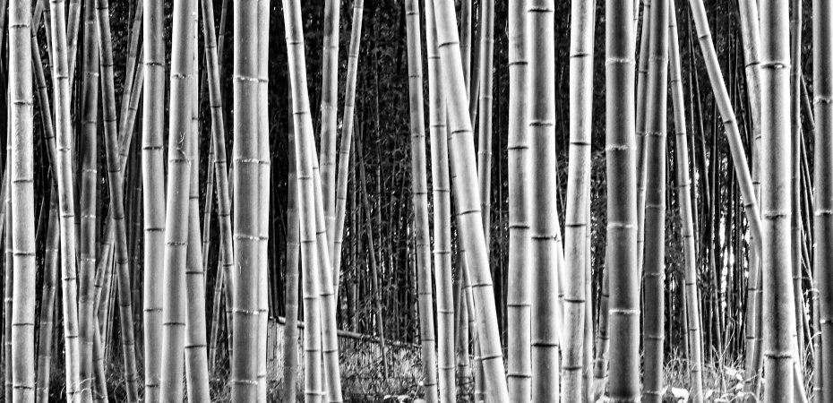 Natalie Wester The Hot Goddess